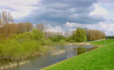 Uiterwaarden Druten