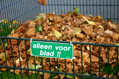 Bladkorf gemeente West Maas en Waal