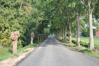 Hoogbroekstraat
