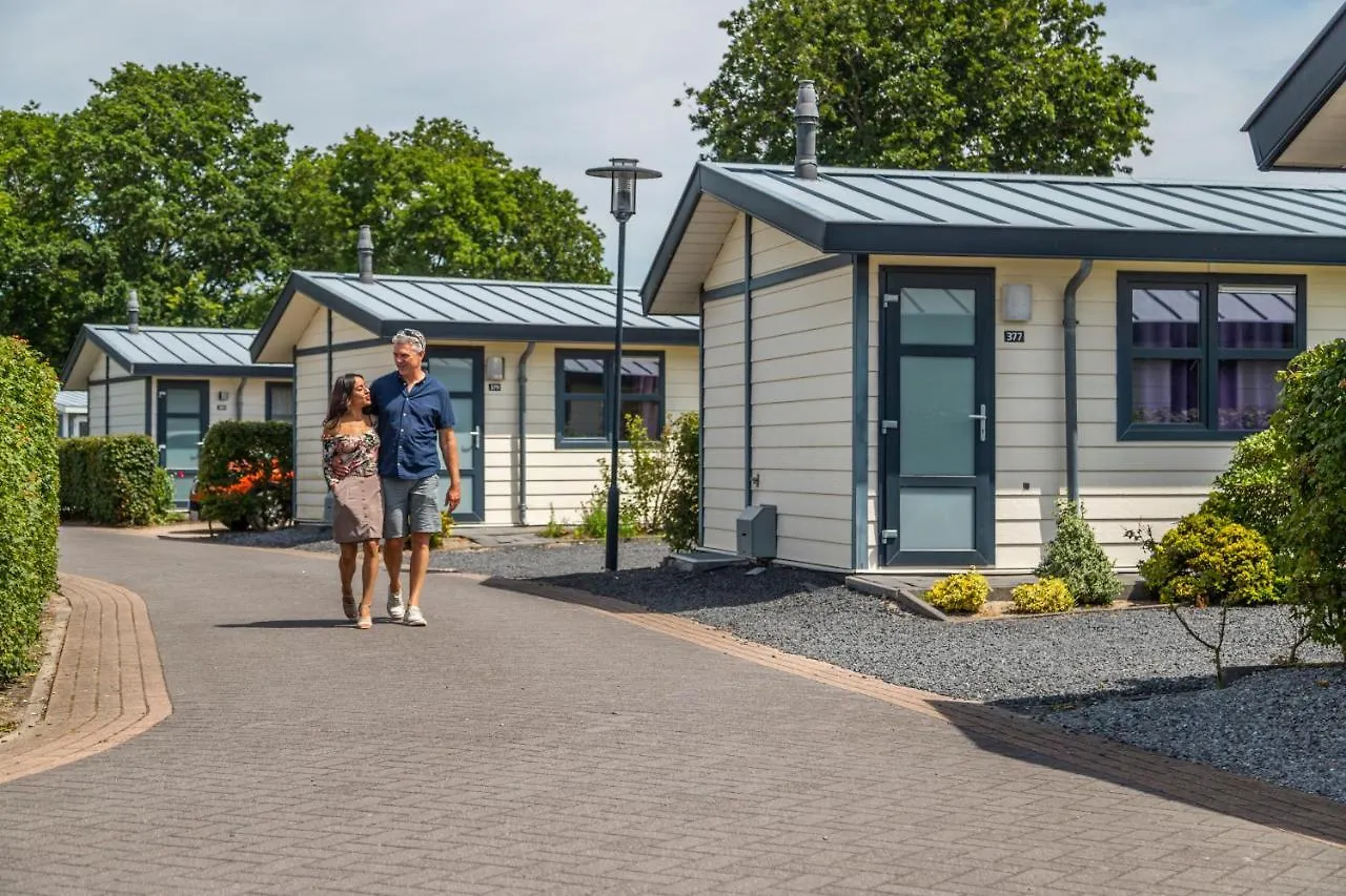 Verblijven in Zuid-Holland: 6 Budgethotels Vergeleken